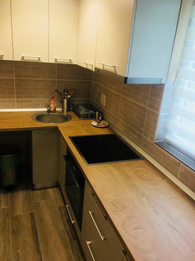 Milan House Apartment Arad Bagian luar foto